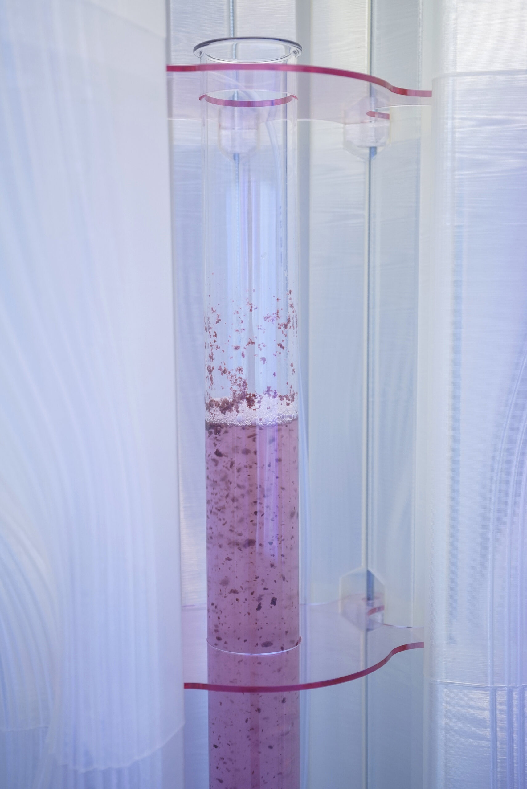 Polyderma 5