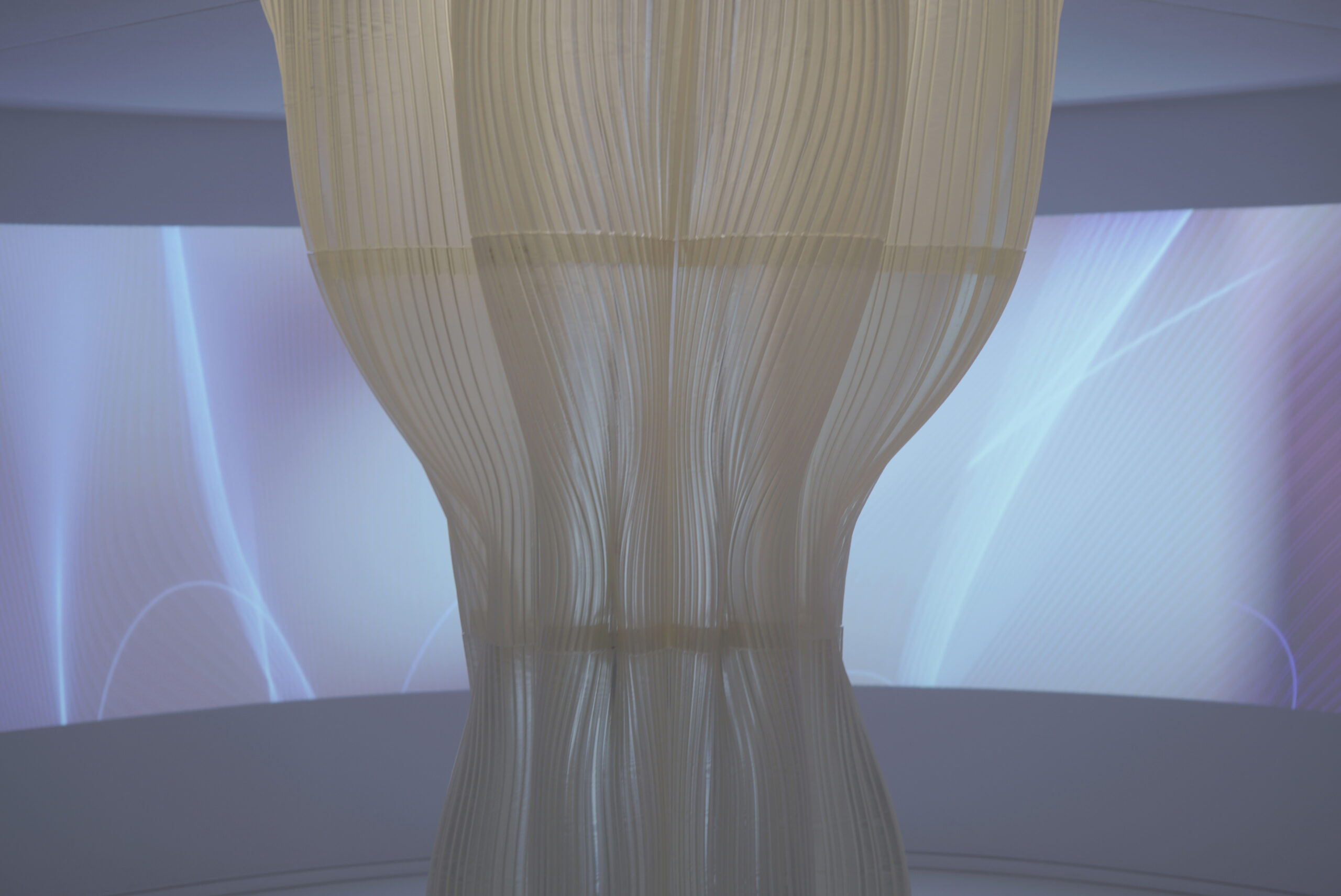 Polyderma 4