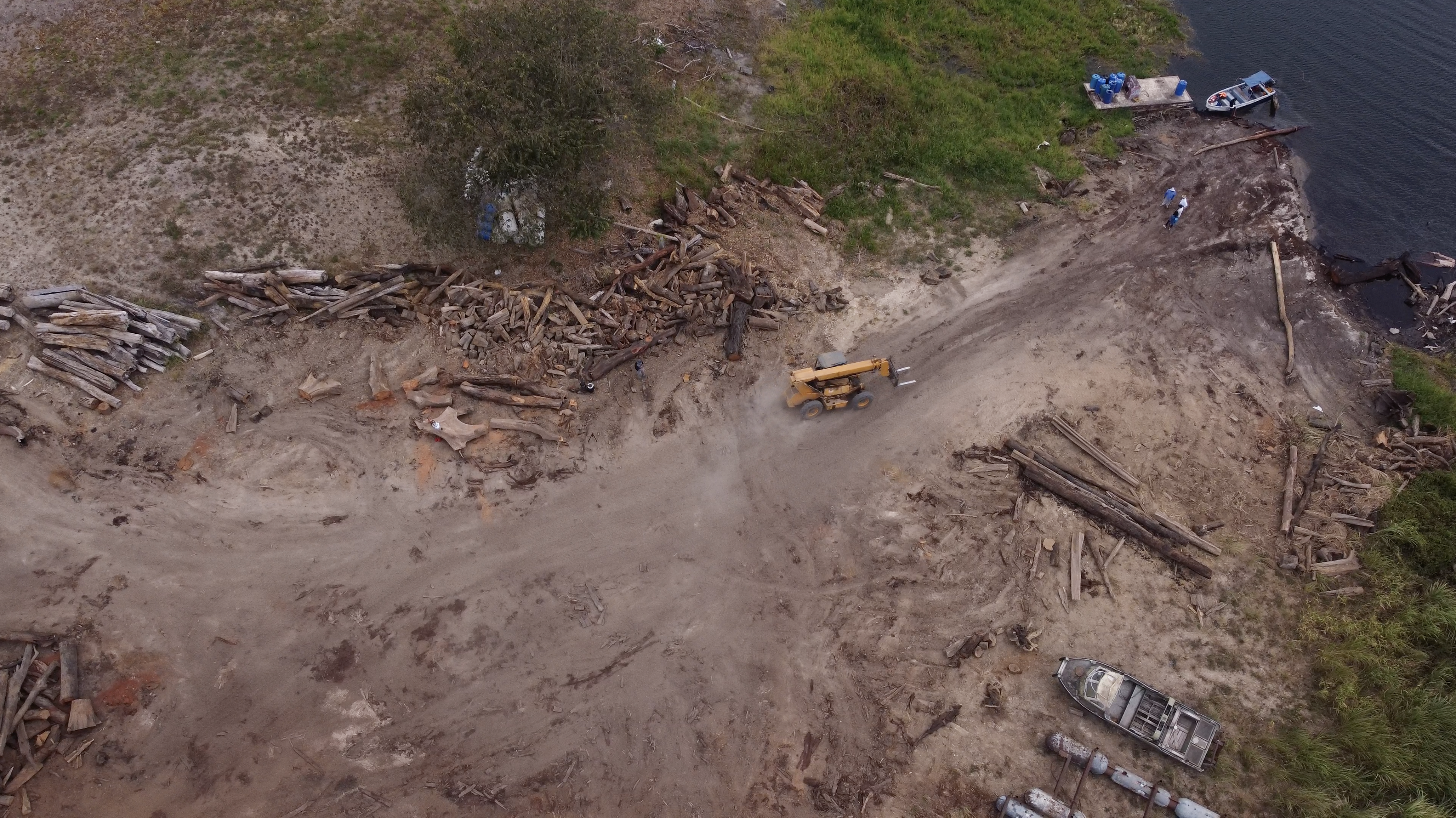 Panama logging shore